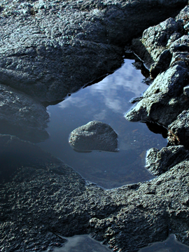 Punalu'u black lava pool (Photo: Tina Fields)