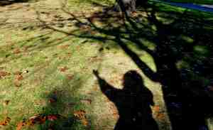 Tree Woman Shadow (photo by Tina Fields)